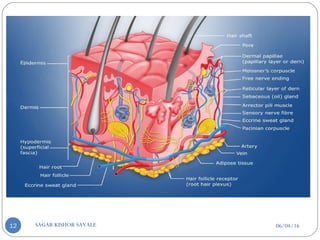 06/04/16SAGAR KISHOR SAVALE12
 