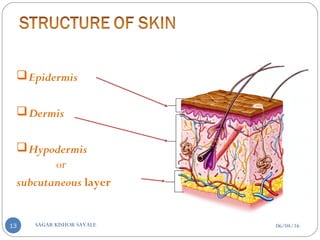 Epidermis
Dermis
Hypodermis
or
subcutaneous layer
06/04/16SAGAR KISHOR SAVALE13
 