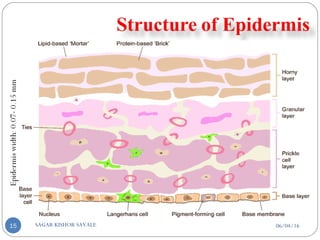 06/04/16SAGAR KISHOR SAVALE15
 
