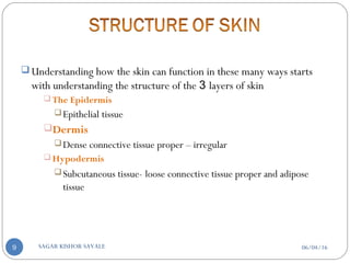  Understanding how the skin can function in these many ways starts
with understanding the structure of the 3 layers of skin
 The Epidermis
Epithelial tissue
Dermis
Dense connective tissue proper – irregular
 Hypodermis
Subcutaneous tissue- loose connective tissue proper and adipose
tissue
06/04/16SAGAR KISHOR SAVALE9
 