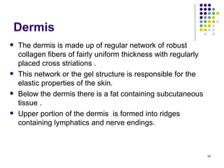 Dermis
   The dermis is made up of regular network of robust
    collagen fibers of fairly uniform thickness with regularly
    placed cross striations .
   This network or the gel structure is responsible for the
    elastic properties of the skin.
   Below the dermis there is a fat containing subcutaneous
    tissue .
   Upper portion of the dermis is formed into ridges
    containing lymphatics and nerve endings.



                                                                 16
 