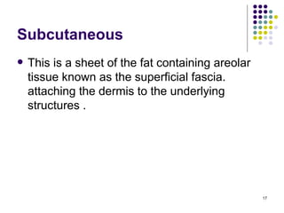 Subcutaneous
   This is a sheet of the fat containing areolar
    tissue known as the superficial fascia.
    attaching the dermis to the underlying
    structures .




                                                    17
 