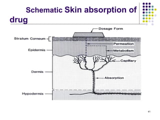 Schematic Skin absorption of
drug




                                  41
 