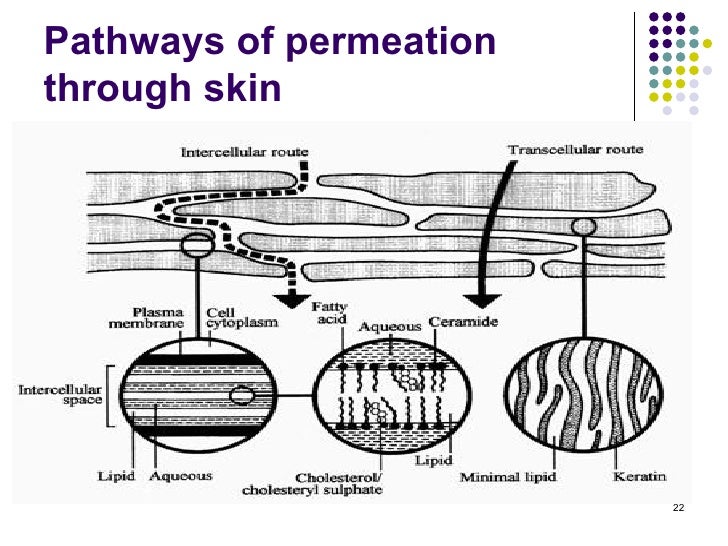 highlights of practical