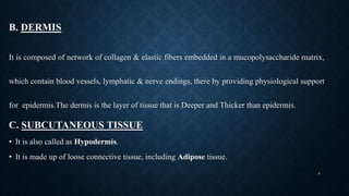B. DERMIS
It is composed of network of collagen & elastic fibers embedded in a mucopolysaccharide matrix,
which contain blood vessels, lymphatic & nerve endings, there by providing physiological support
for epidermis.The dermis is the layer of tissue that is Deeper and Thicker than epidermis.
C. SUBCUTANEOUS TISSUE
• It is also called as Hypodermis.
• It is made up of loose connective tissue, including Adipose tissue.
8
 