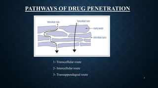 PATHWAYS OF DRUG PENETRATION
1- Transcellular route
2- Intercellular route
3- Transappendageal route
9
 