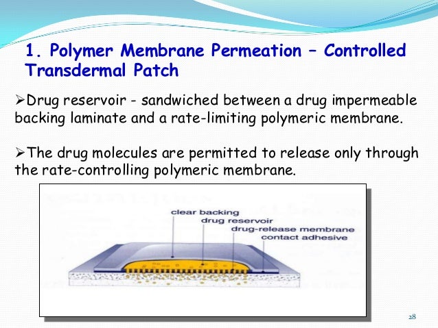 Transdermal drug delivery sysetms (2)