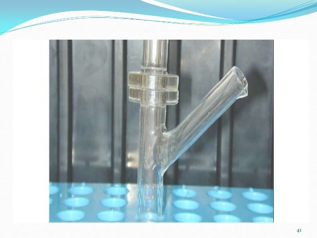 Piroxicam Dosage Chien