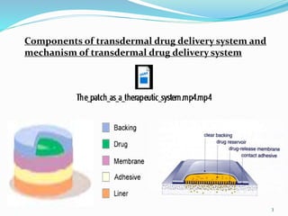 Components of transdermal drug delivery system and
mechanism of transdermal drug delivery system
3
 