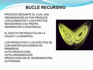Formación integralHemisferioLOGICOHemisferioHOLISTICO-Analítico-Secuencial-Inductivo-Lineal-Realista-Verbal-Temporal-Cuantitativo-Intuitivo-Global-Deductivo-Aleatorio-Fantástico-No verbal-Atemporal-Cualitativo