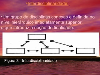 Interdisciplinaridade:   Um grupo de disciplinas conexas e definida no nível hierárquico imediatamente superior, o que introduz a noção de finalidade. Figura 3 - Interdisciplinaridade 