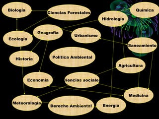 Biología                                                       Química
                  Ciencias Forestales
                                               Hidrología


              Geografía
                                Urbanismo
Ecología
                                                            Saneamiento


   Historia           Política Ambiental

                                                      Agricultura


           Economía        Ciencias sociales


                                                            Medicina
  Meteorología
                      Derecho Ambiental        Energía
 