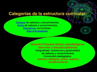 Categorías de la estructura curricular:
   Campos de saberes y conocimientos.
    Áreas de saberes y conocimientos.
        Disciplinas curriculares.
           Ejes articuladores.




              Generan Procesos teórico metodológicos,
                   intra-inter y transdisciplinarios
                  Integralidad, coherencia y gradualidad
                        de saberes y conocimientos
                          Concreción pedagógica:
                    holística, dialógica, cíclica, espiral y
                               complementarias
 