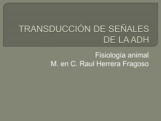 Fisiología animal
M. en C. Raul Herrera Fragoso
 