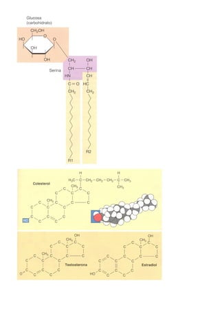 Transducción señales celulares