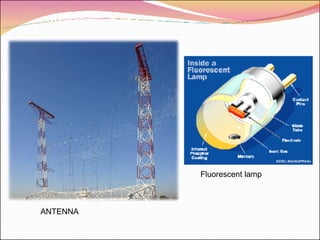 ANTENNA Fluorescent lamp 