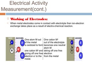 Electrical Activity
Measurement(cont.)
 Working of Electrodes:
 When metal electrodes come in contact with electrolyte then ion-electron
exchange takes place as a result of electro-chemical reaction.
One cation M+
out of the electrolyte
becomes one neutral
atom M
taking off one free
electron
from the metal
One atom M out
of the metal
is oxidized to form
one cation M+
and
giving off one free
electron e-
to the
metal.
 