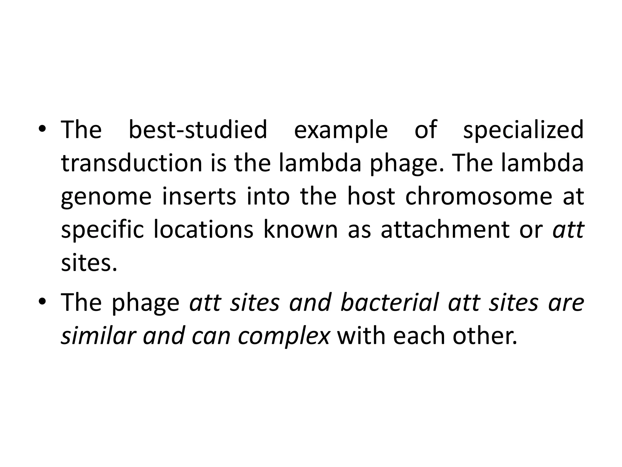 • The best-studied example of specialized
  transduction is the lambda phage. The lambda
  genome inserts into the host chromosome at
  specific locations known as attachment or att
  sites.
• The phage att sites and bacterial att sites are
  similar and can complex with each other.
 