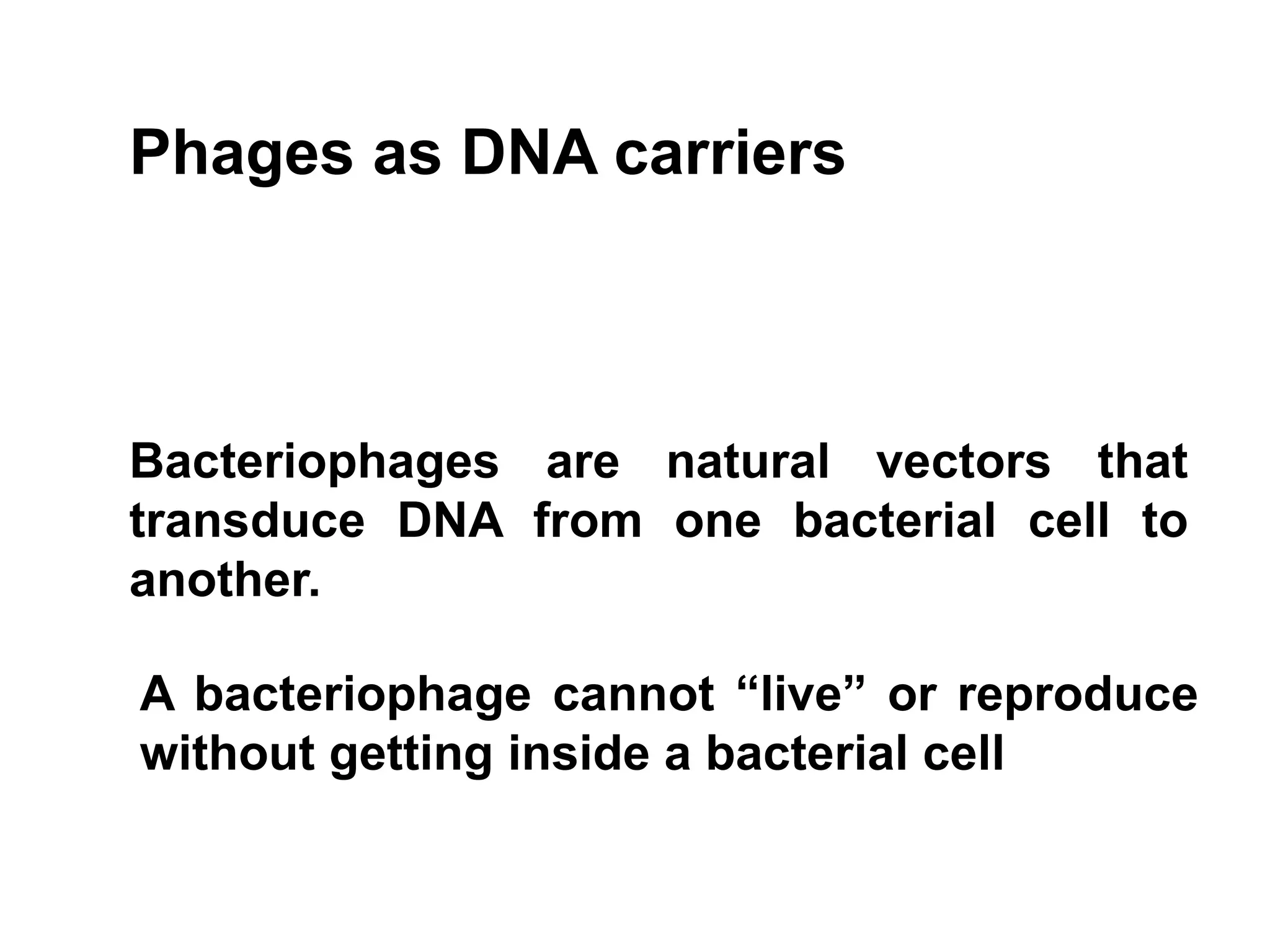 Phages as DNA carriers



Bacteriophages are natural vectors that
transduce DNA from one bacterial cell to
another.

A bacteriophage cannot “live” or reproduce
without getting inside a bacterial cell
 