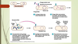 Transduction | PPTX