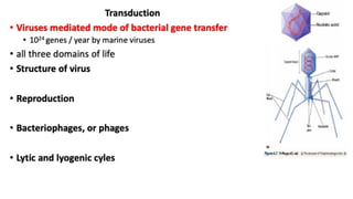 Transduction.pdf