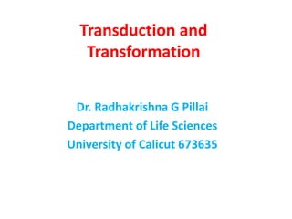 Transduction and
Transformation
Dr. Radhakrishna G Pillai
Department of Life Sciences
University of Calicut 673635
 