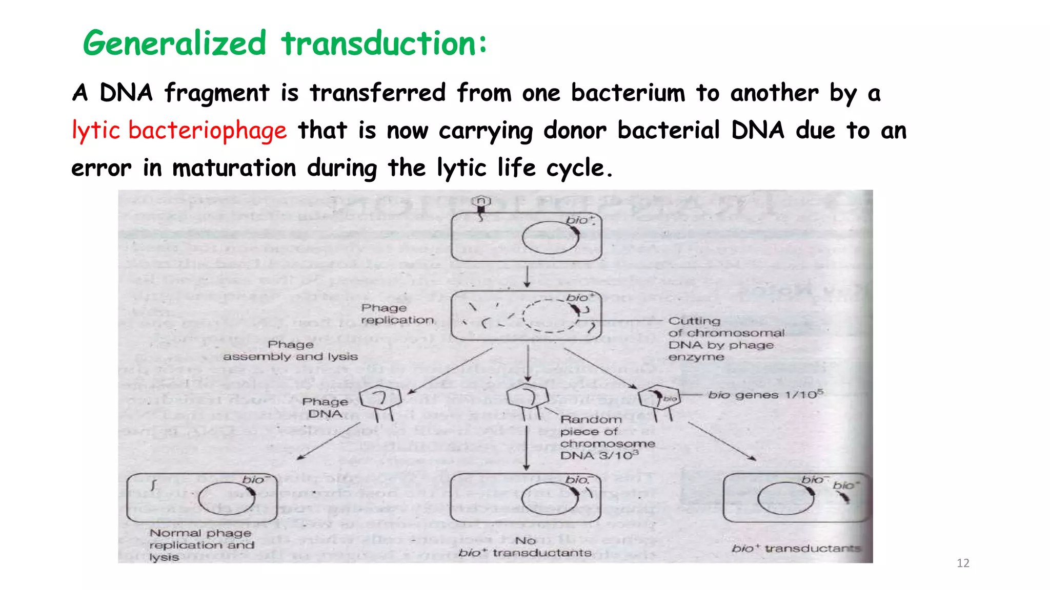 Generalized transduction:
A DNA fragment is transferred from one bacterium to another by a
lytic bacteriophage that is now carrying donor bacterial DNA due to an
error in maturation during the lytic life cycle.
12
 