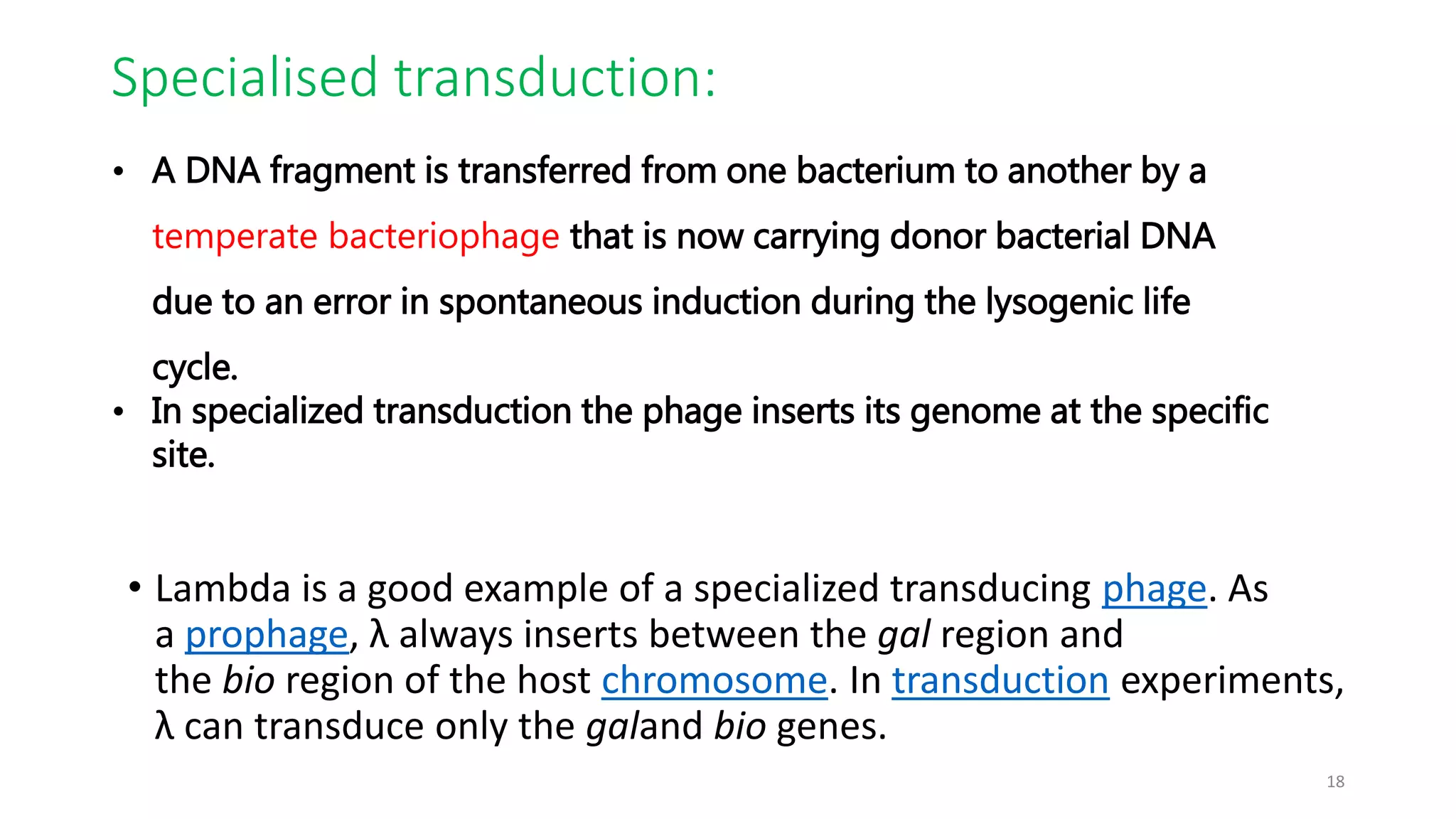 Specialised transduction:
• Lambda is a good example of a specialized transducing phage. As
a prophage, λ always inserts between the gal region and
the bio region of the host chromosome. In transduction experiments,
λ can transduce only the galand bio genes.
• A DNA fragment is transferred from one bacterium to another by a
temperate bacteriophage that is now carrying donor bacterial DNA
due to an error in spontaneous induction during the lysogenic life
cycle.
• In specialized transduction the phage inserts its genome at the specific
site.
18
 
