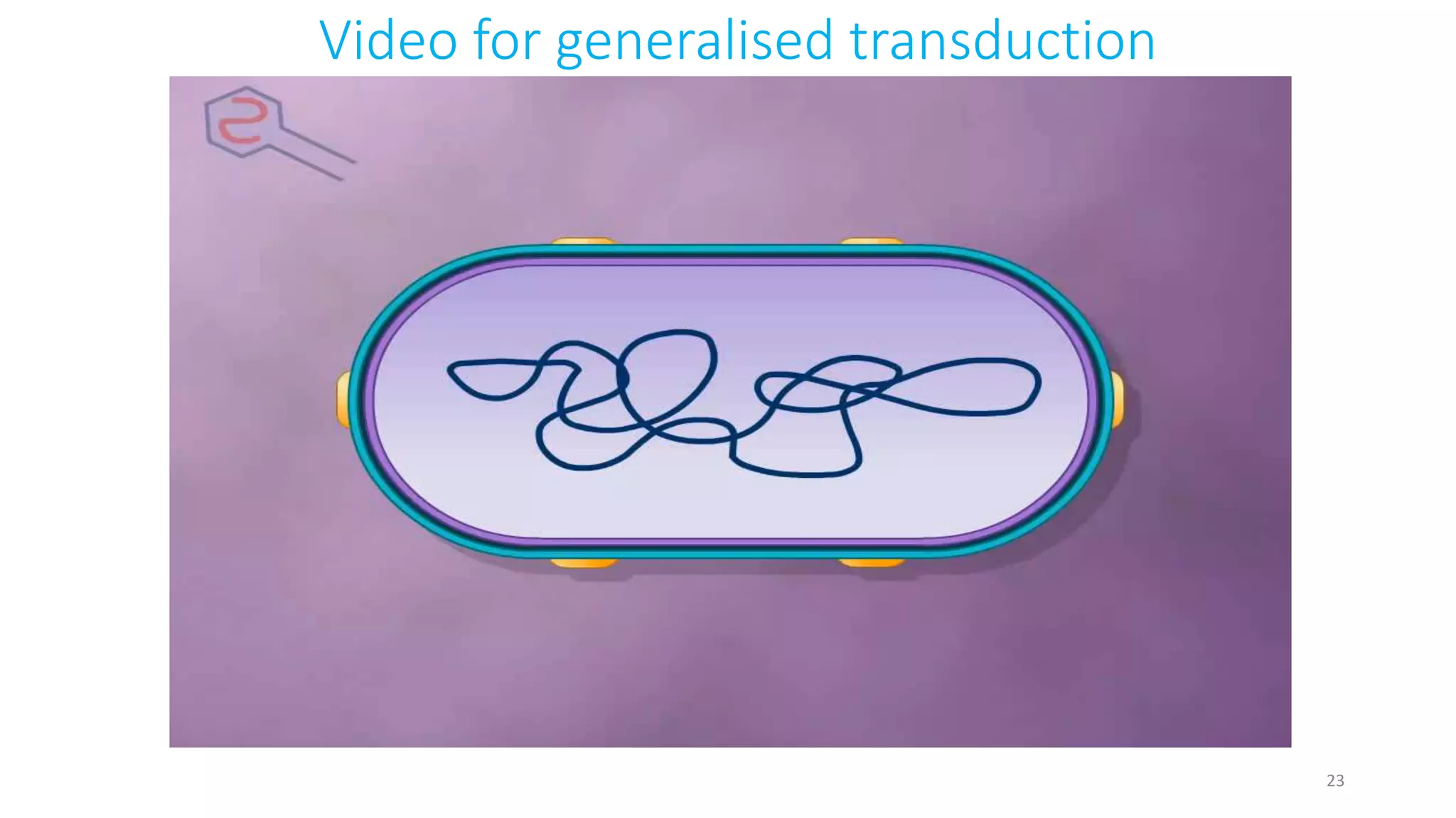 Video for generalised transduction
23
 