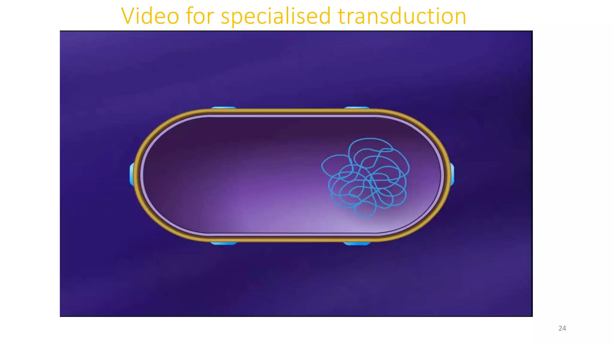 Video for specialised transduction
24
 