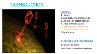 TRANSDUCTION
Prepared and presented by:
Mahesh Lamsal
Central Dept.of Biotechnology,kirtipur
1
INCLUDES:
1.History
2.Introduction to transduction
3.Life cycle of bacteriophage
4.Types of transduction
a.Generalised transduction
b.Specialised transduction
5.Significance
 