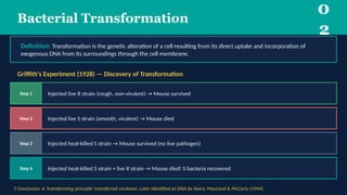 Demonstration of Transduction Transformation | PPTX