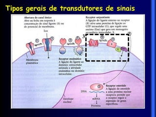 Tipos gerais de transdutores de sinais


                      3
 