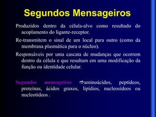 Segundos Mensageiros
Produzidos dentro da célula-alvo como resultado do
  acoplamento do ligante-receptor.
Re-transmitem o sinal de um local para outro (como da
  membrana plasmática para o núcleo)‫‏‬
                                    .
Responsáveis por uma cascata de mudanças que ocorrem
  dentro da célula e que resultam em uma modificação da
  função ou identidade celular.

Segundos mensageiros aminoácidos, peptídeos,
  proteínas, ácidos graxos, lipídios, nucleosídeos ou
  nucleotídeos .
 