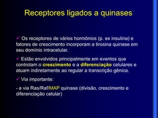 Receptores ligados a quinases


 Os receptores de vários hormônios (p. ex insulina) e
fatores de crescimento incorporam a tirosina quinase em
seu domínio intracelular.
 Estão envolvidos principalmente em eventos que
controlam o crescimento e a diferenciação celulares e
atuam indiretamente ao regular a transcrição gênica.
 Via importante:
- a via Ras/Raf/MAP quinase (divisão, crescimento e
diferenciação celular)‫‏‬
 