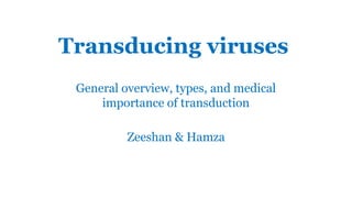 Transducing Viruses, Viral Evolution, and Cross-Phylogenetic Gene ...