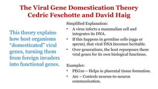Transducing Viruses, Viral Evolution, and Cross-Phylogenetic Gene ...