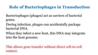 Transducing Viruses, Viral Evolution, and Cross-Phylogenetic Gene ...