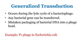 Transducing Viruses, Viral Evolution, and Cross-Phylogenetic Gene ...