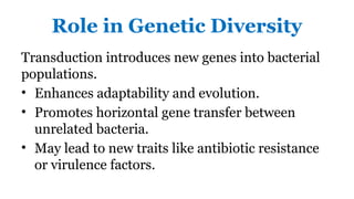 Transducing Viruses, Viral Evolution, and Cross-Phylogenetic Gene ...