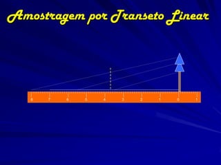 Amostragem por Transeto Linear




   8   7   6   5   4   3   2   1   0   1
 