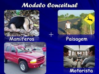 Modelo Conceitual




Mamíferos
            +    Paisagem




                  Motorista
 
