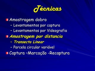 Técnicas
Amostragem dobro
– Levantamentos por captura
– Levantamentos por Videografia
Amostragem por distancia
– Transecto Linear
– Parcela circular variável
Captura –Marcação -Recaptura
 