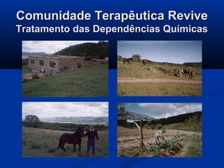 Comunidade Terapêutica Revive
Tratamento das Dependências Químicas
 