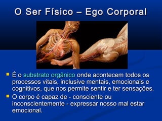 O Ser Físico – Ego Corporal




   É o substrato orgânico onde acontecem todos os
    processos vitais, inclusive mentais, emocionais e
    cognitivos, que nos permite sentir e ter sensações.
   O corpo é capaz de - consciente ou
    inconscientemente - expressar nosso mal estar
    emocional.
 
