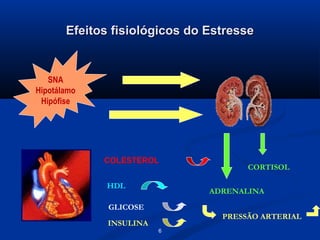 Efeitos fisiológicos do Estresse


   SNA
SNA
Hipotálamo
 Hipófise




             COLESTEROL
                                      CORTISOL

             HDL
                               ADRENALINA

              GLICOSE
                                 PRESSÃO ARTERIAL
              INSULINA
                         6
 