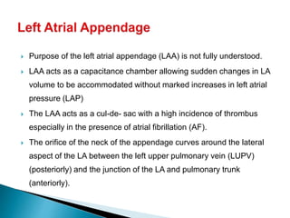  Purpose of the left atrial appendage (LAA) is not fully understood.
 LAA acts as a capacitance chamber allowing sudden changes in LA
volume to be accommodated without marked increases in left atrial
pressure (LAP)
 The LAA acts as a cul-de- sac with a high incidence of thrombus
especially in the presence of atrial fibrillation (AF).
 The orifice of the neck of the appendage curves around the lateral
aspect of the LA between the left upper pulmonary vein (LUPV)
(posteriorly) and the junction of the LA and pulmonary trunk
(anteriorly).
 