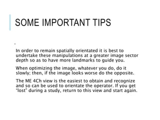 SOME IMPORTANT TIPS
.
In order to remain spatially orientated it is best to
undertake these manipulations at a greater image sector
depth so as to have more landmarks to guide you.
When optimizing the image, whatever you do, do it
slowly; then, if the image looks worse do the opposite.
The ME 4Ch view is the easiest to obtain and recognize
and so can be used to orientate the operator. If you get
“lost” during a study, return to this view and start again.
 