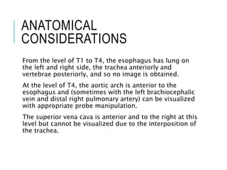 ANATOMICAL
CONSIDERATIONS
From the level of T1 to T4, the esophagus has lung on
the left and right side, the trachea anteriorly and
vertebrae posteriorly, and so no image is obtained.
At the level of T4, the aortic arch is anterior to the
esophagus and (sometimes with the left brachiocephalic
vein and distal right pulmonary artery) can be visualized
with appropriate probe manipulation.
The superior vena cava is anterior and to the right at this
level but cannot be visualized due to the interposition of
the trachea.
 