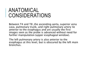ANATOMICAL
CONSIDERATIONS
Between T4 and T8 ,the ascending aorta, superior vena
cava, pulmonary trunk, and right pulmonary artery lie
anterior to the esophagus and are usually the first
images seen as the probe is advanced without need for
further manipulation (upper esophageal window).
The left pulmonary artery is also anterior to the
esophagus at this level, but is obscured by the left main
bronchus.
 